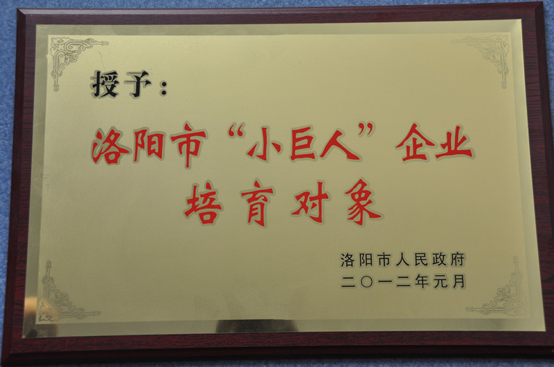 “小巨人”企業